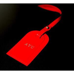 Louis Vuitton Red Leather Name Tag w/ Initials Silver Accent Small France 📍